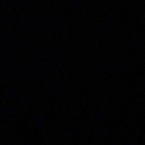 Meet your Posher, Phebe